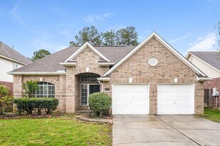8911 Cypress Square Dr in Spring, TX - Building Photo