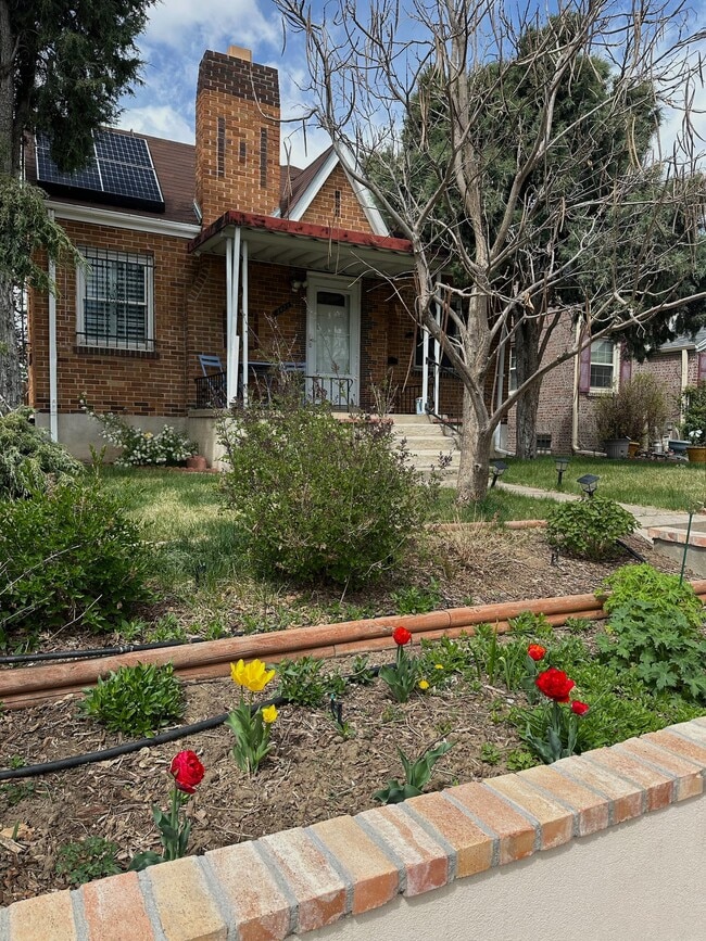 3423 St Paul St in Denver, CO - Building Photo - Building Photo