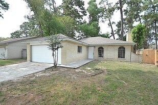 4527 Adonis Dr in Spring, TX - Building Photo
