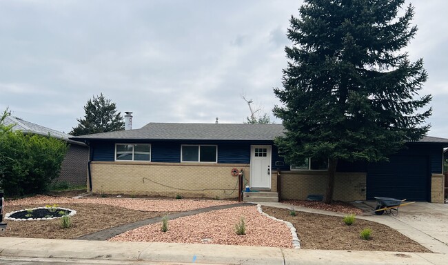 property at 819 Busch St