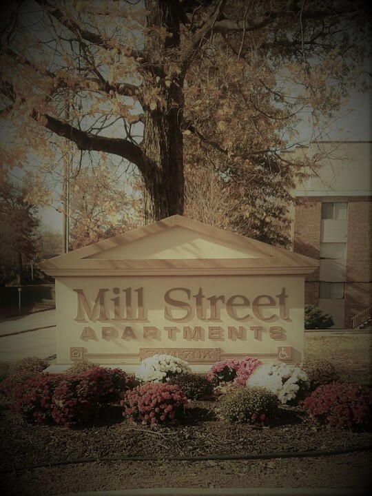 Mill Street Apartments in Carbondale, IL - Foto de edificio