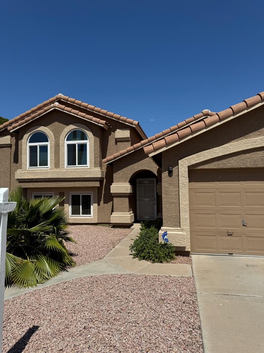 3160 W Frankfurt Dr in Chandler, AZ - Building Photo