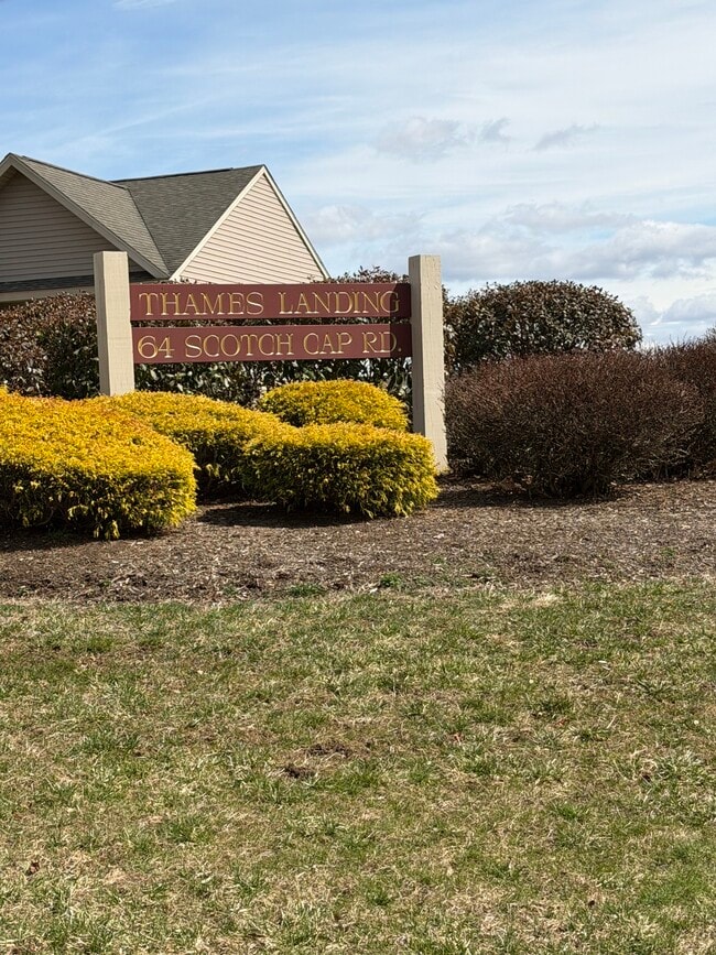 property at 64 Scotch Cap Rd