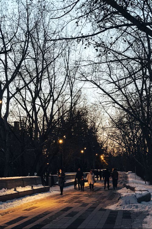 Arlo West End in St. Louis Park, MN - Building Photo - Building Photo