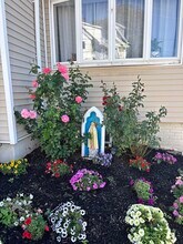 49 Furness St in Revere, MA - Building Photo - Building Photo