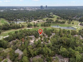 2209 W Settler's Way in The Woodlands, TX - Building Photo