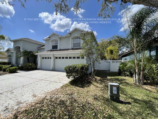 5023 Hartwell Loop in Land O Lakes, FL - Foto de edificio - Building Photo
