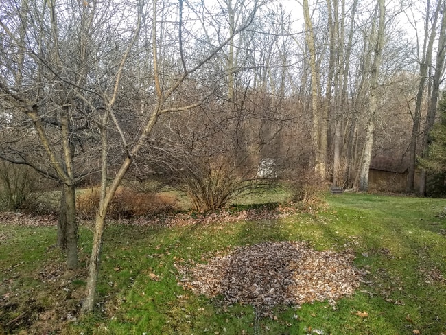 property at 16351 Petro Dr