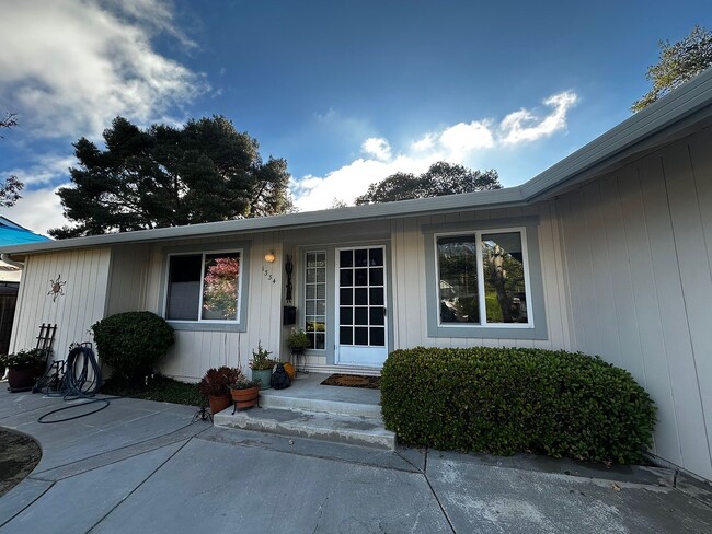 property at 1334 Bodega Pl