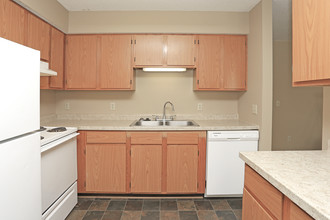 LakeVillage Apartments in Lakeville, MN - Foto de edificio - Interior Photo