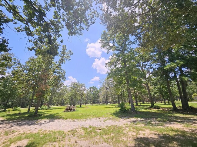 24862 Shady Oaks Blvd in Montgomery, TX - Foto de edificio - Building Photo