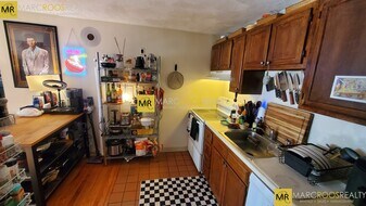 251 Kelton St in Boston, MA - Building Photo