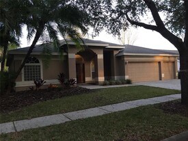 17711 Emerald Green Pl in Tampa, FL - Building Photo