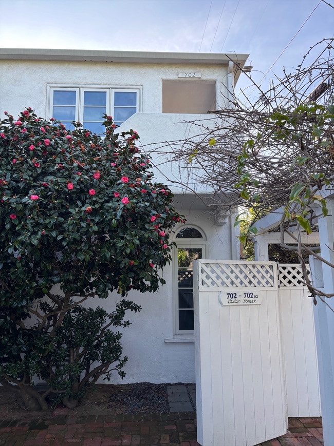 702 Cedar St, Unit 702 Cedar