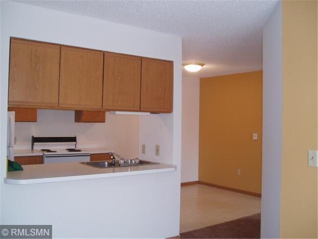 520 Spring St-Unit -B3 in Somerset, WI - Building Photo - Building Photo