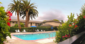Briarwood Garden Apartments in Santa Clara, CA - Building Photo
