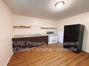 509 N Louisiana Ave in Asheville, NC - Building Photo - Building Photo