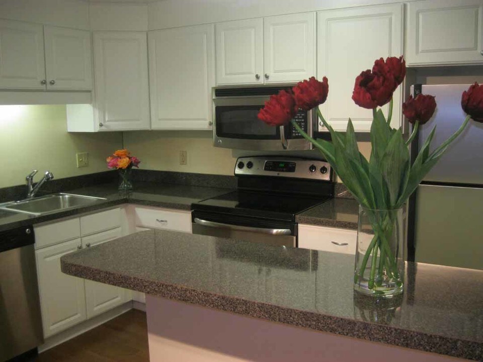 25 Pine St, Unit E in Canton, MA - Foto de edificio