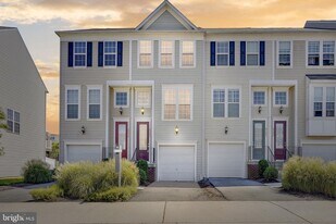 8381 Scotland Loop in Manassas, VA - Building Photo
