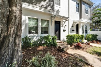 541 Delmar Terr S in St. Petersburg, FL - Building Photo - Building Photo