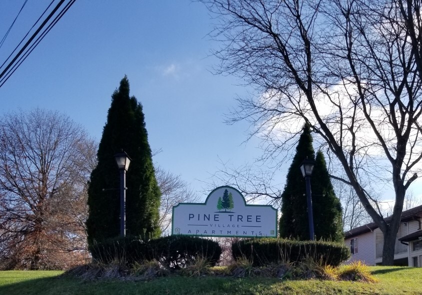 Pine Tree Village Apartments in West Middlesex, PA - Building Photo