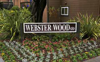 Webster Wood Apartments in Palo Alto, CA - Building Photo - Building Photo