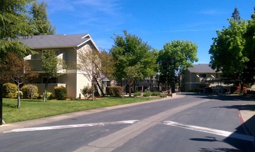 Auburn Creek Apartments in Lincoln, CA - Building Photo - Building Photo