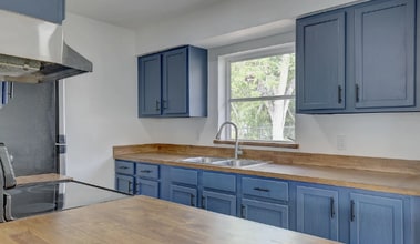 417 Hollyhock Ln in Spring Hill, FL - Building Photo - Building Photo