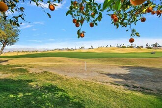 54838 Oak-Tree in La Quinta, CA - Building Photo - Building Photo