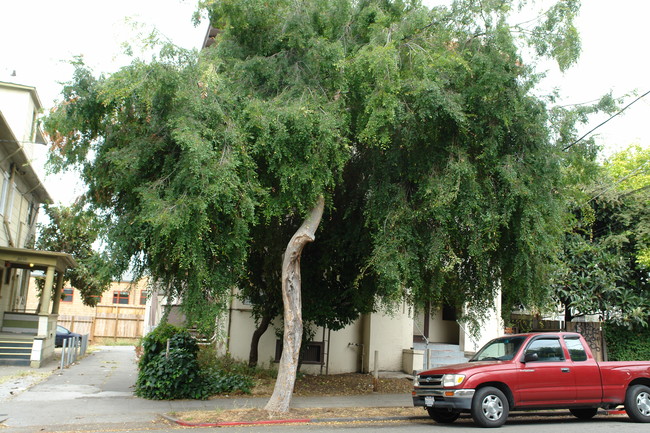 2410-2412 Dana St in Berkeley, CA - Building Photo - Building Photo