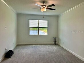 9750 Campanula Ct in Land O Lakes, FL - Building Photo - Building Photo