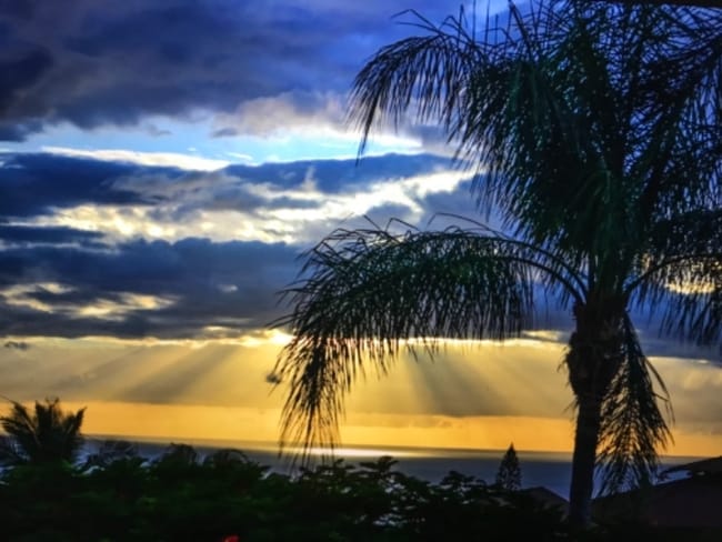 595 Kumulani Dr in Kihei, HI - Building Photo - Building Photo