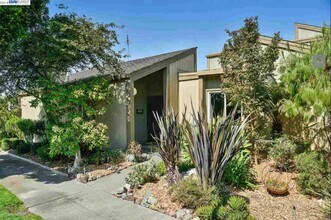 3350 Fir Ave in Alameda, CA - Building Photo - Building Photo