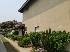 Garden Grove Triplex in Garden Grove, CA - Building Photo - Other