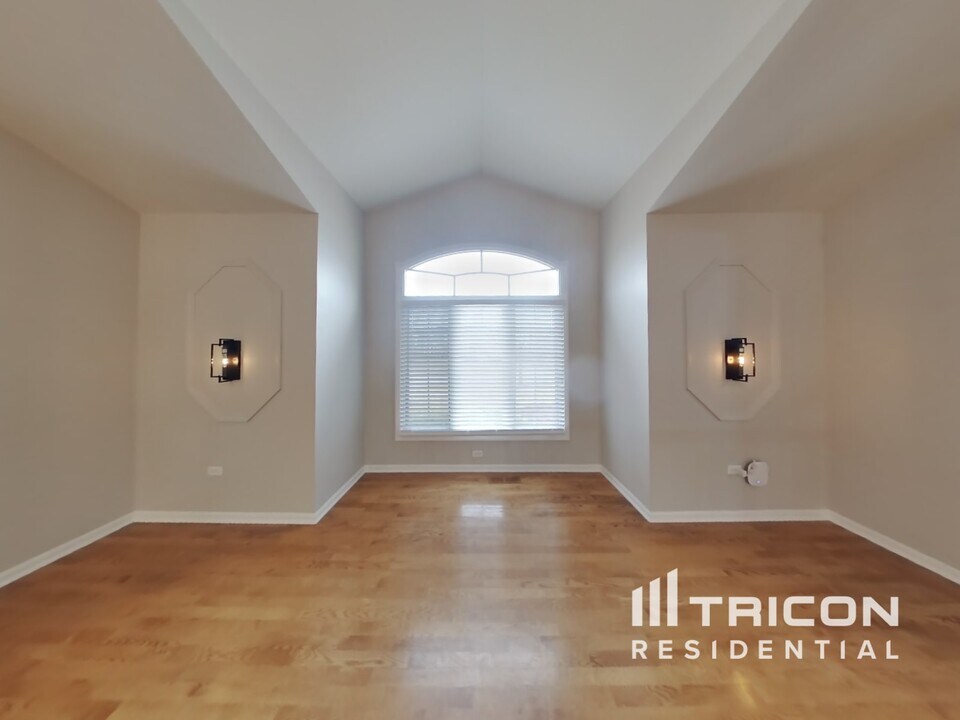 19618 Brookridge Dr in Tinley Park, IL - Building Photo