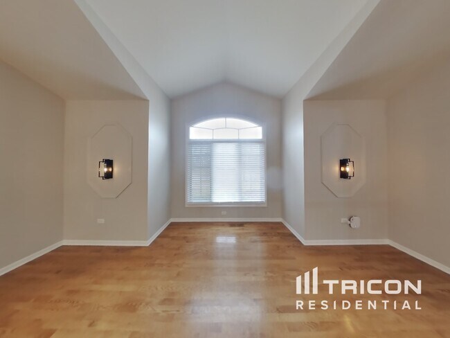 19618 Brookridge Dr in Tinley Park, IL - Building Photo - Building Photo