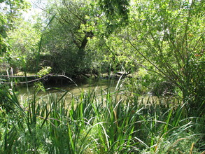 Creek Bend in Boise, ID - Building Photo - Building Photo