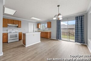7902 Chestnut Bear Dr in Converse, TX - Building Photo
