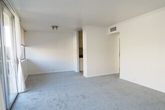 32 Andrew Dr in Tiburon, CA - Building Photo - Building Photo