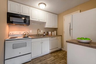 371 Harvard St, Unit 2 in Cambridge, MA - Building Photo - Building Photo