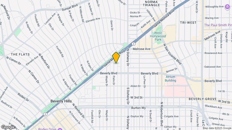 442 N Palm Dr Map and Location Details