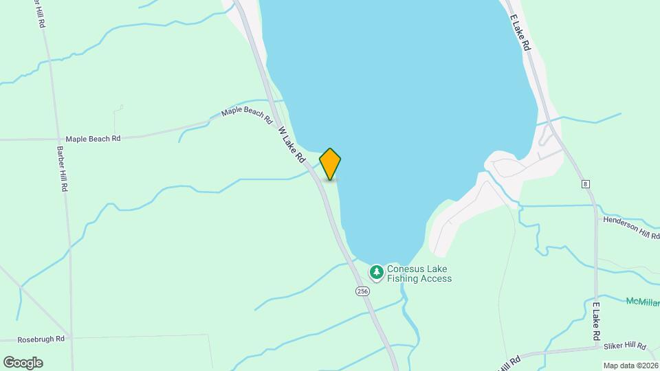 6033 W Lake Rd Rentals in Conesus, NY