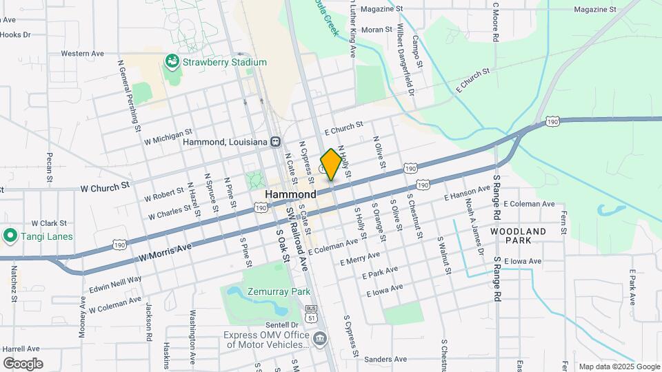 223 E Thomas St, Unit #2 Mapa y Detalles de la Ubicación