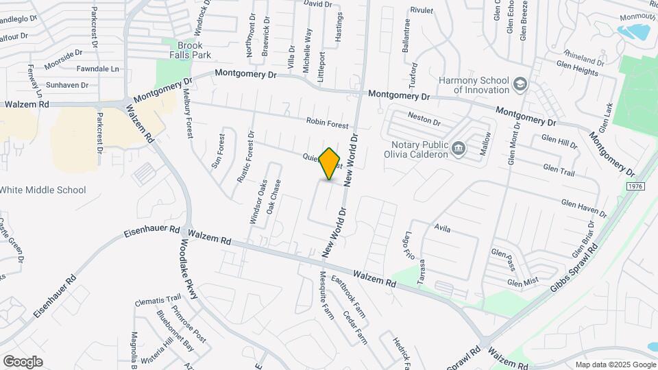 7935 Misty Forest Map and Location Details