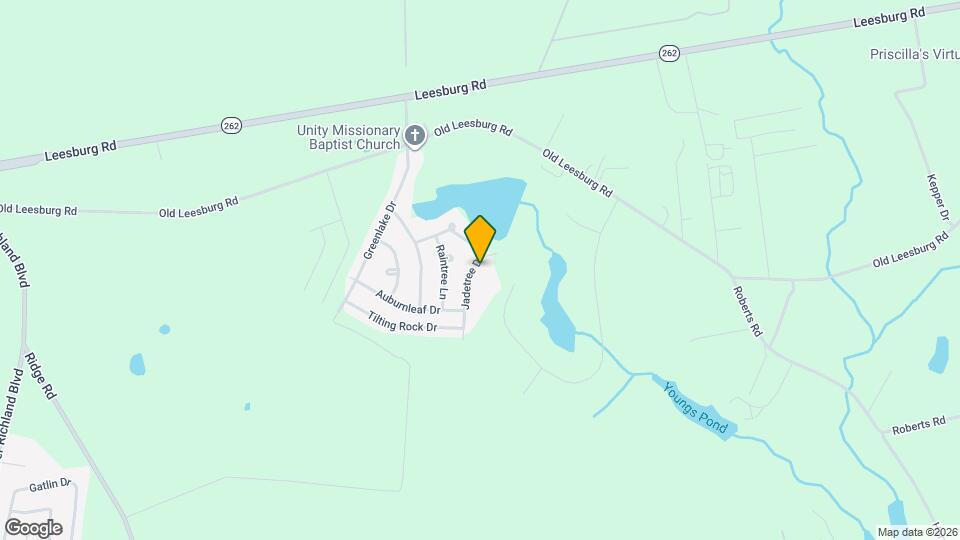 244 Jadetree Dr Mapa y Detalles de la Ubicación