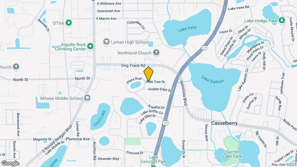 260 Pine Tree Dr Map and Location Details