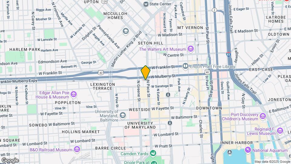 314 N Paca St Mapa y Detalles de la Ubicación