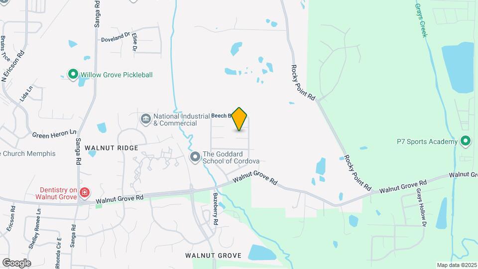 9178 Old Brook Cove Map and Location Details