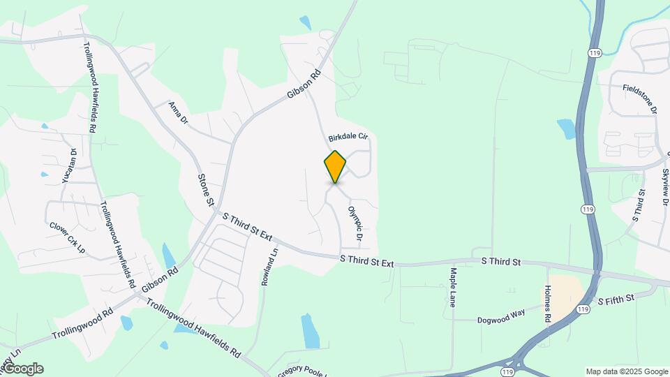 1206 Bethpage Dr Mapa y Detalles de la Ubicación