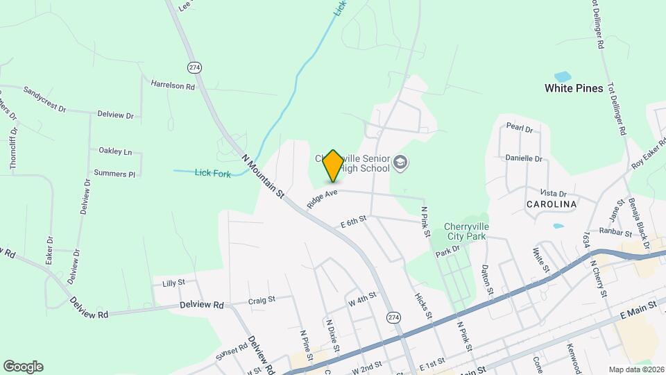 113 Ridge Ave Map and Location Details